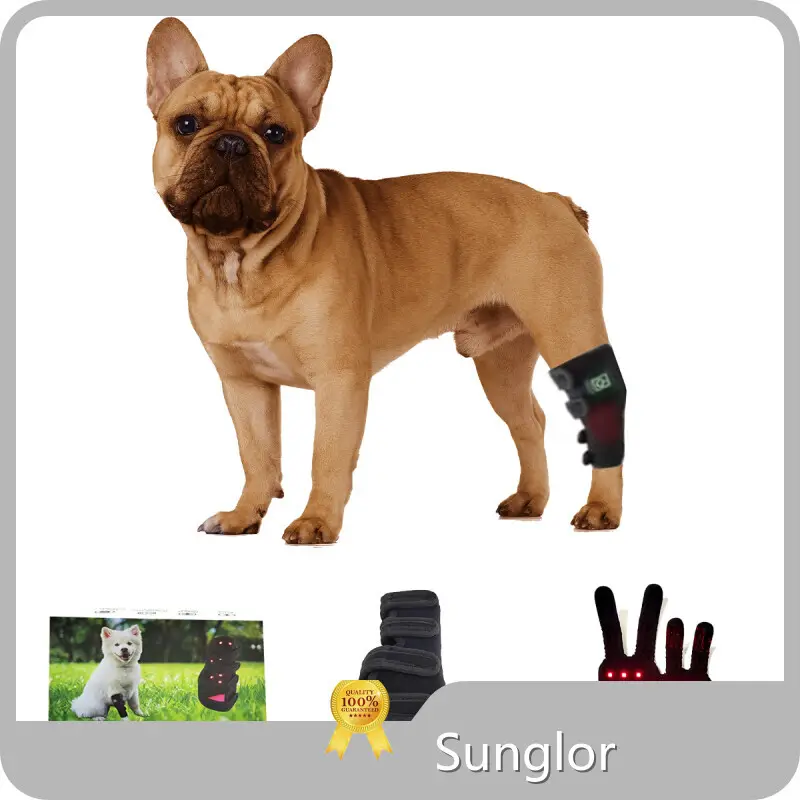 Sunglor Infrared Light for Pets Price List 1