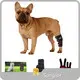 Sunglor Infrared Light for Pets Price List 1