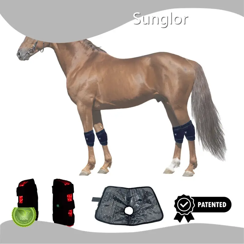 Red Laser Therapy for Dogs SBR Animal Red Light Wholesale - Sunglor 1