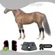 Red Laser Therapy for Dogs SBR Animal Red Light Wholesale - Sunglor 1