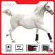 Sunglor Red Light Therapy Pets Cardboard with Custom Services 1