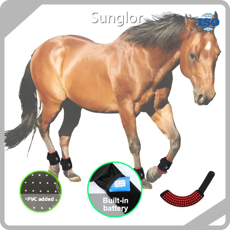 Animal Red Light Infrared Light Therapy for Horses for Cat SBR with Good Price 1