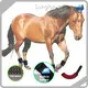 Animal Red Light Infrared Light Therapy for Horses for Cat SBR with Good Price 1