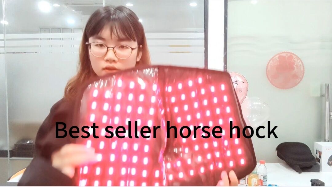 Equine Knee Therapy Belt 🐎🔴