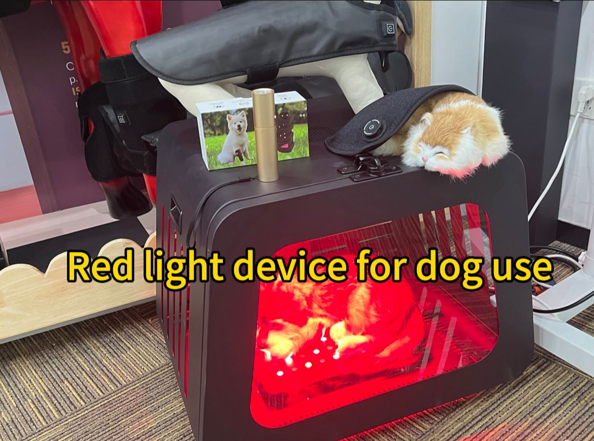 Veterinary Red Light Therapy Cage