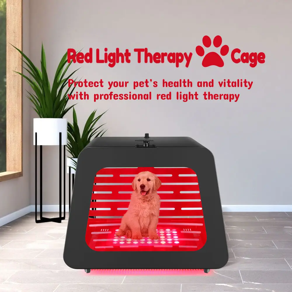 Animal Red Light Red Light Therapy for Horses Bulk Production Best Supplier 3
