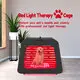 Animal Red Light Red Light Therapy for Horses Bulk Production Best Supplier 3