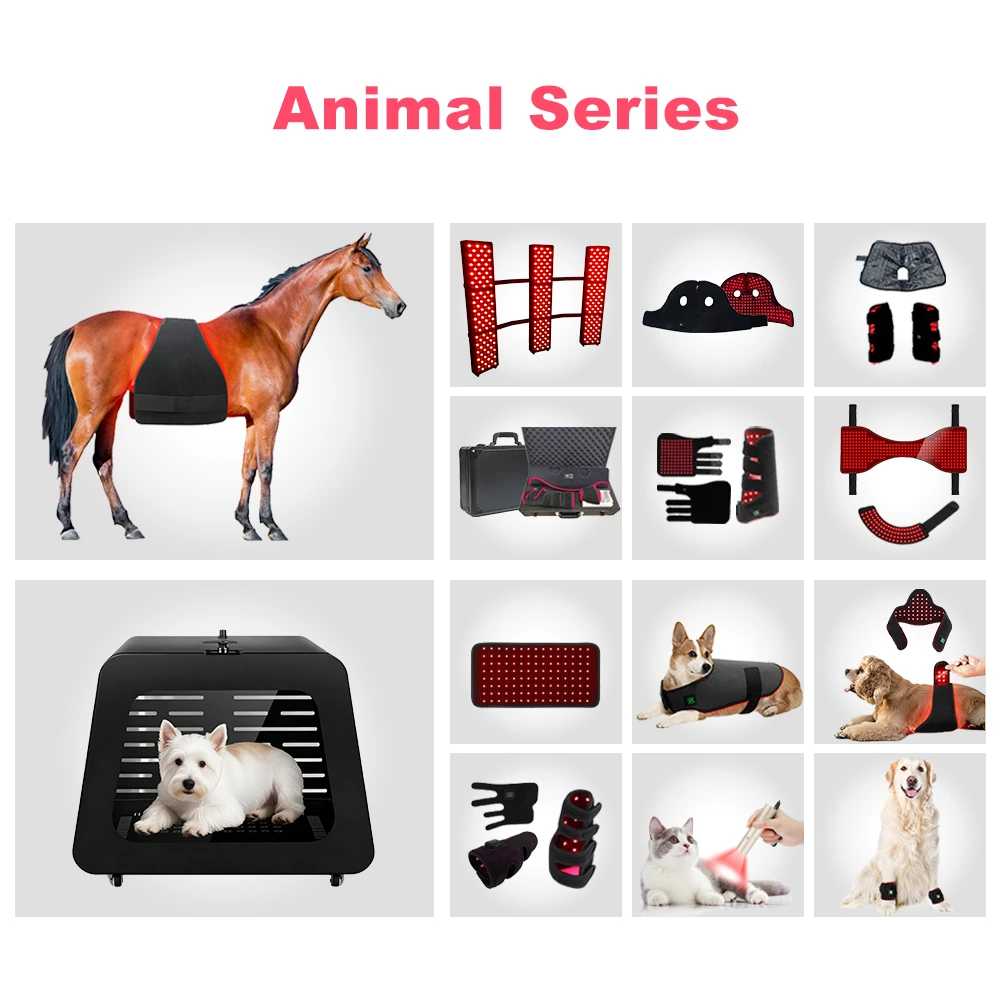 352W SBR Material Full Body Red Light Therapy Horse with 660nm 850nm 704pcs LED for Equine Care 2