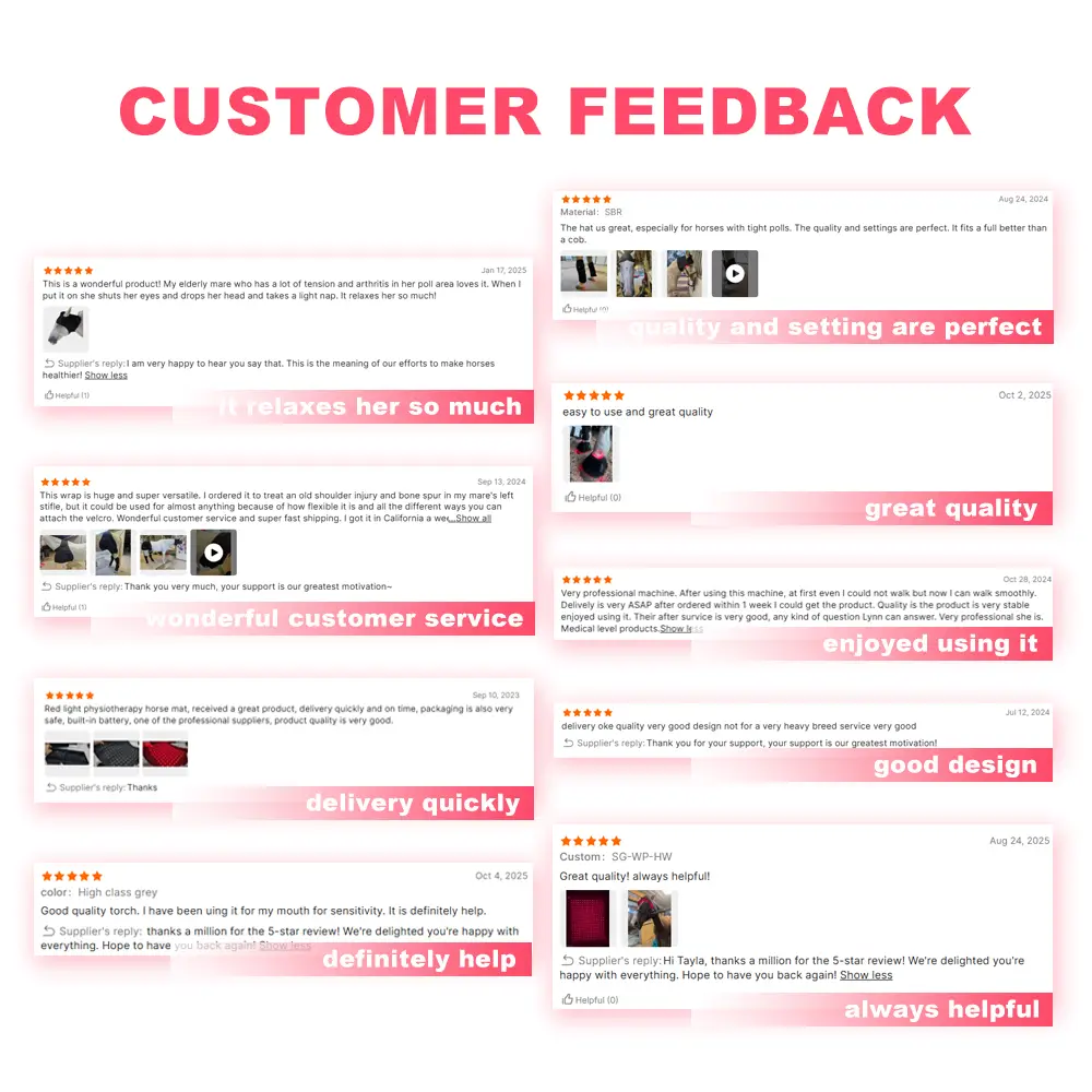 New Model Red Light Laser Therapy for Horses Company 6