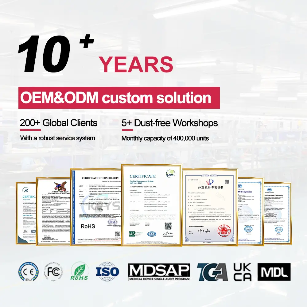 New Model Red Light Laser Therapy for Horses Company 5