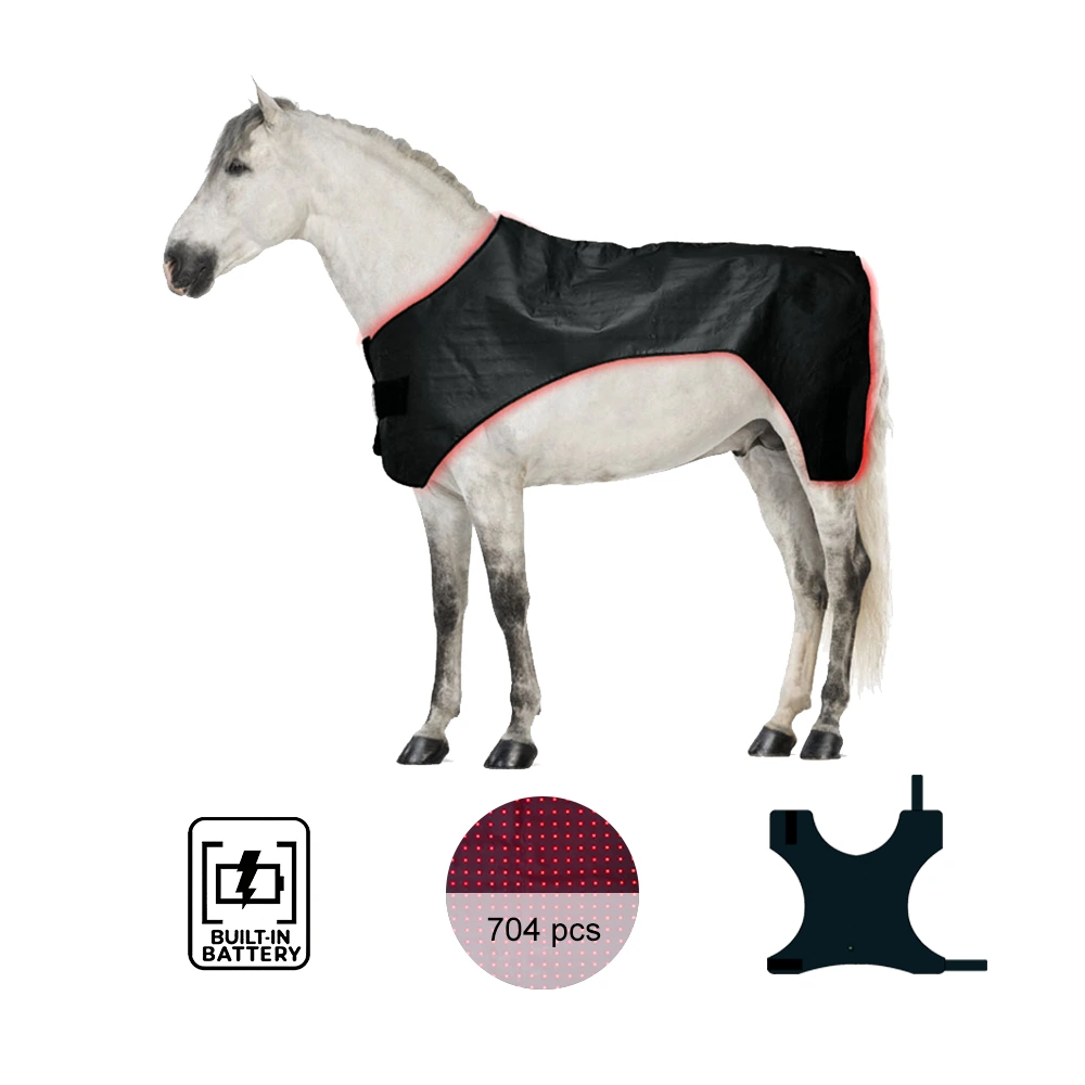 352 W-os SBR anyagú, teljes testet betöltő vörös fényterápiás ló, 660 nm-es, 850 nm-es, 704 db-os LED-del, lóápoláshoz 1