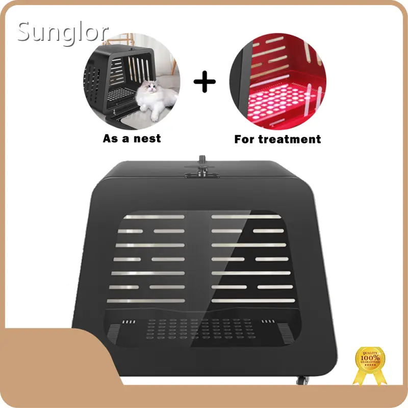 Animal Red Light Red Light Therapy for Horses Bulk Production Best Supplier 1