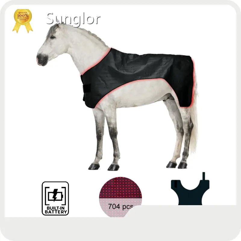 New Model Red Light Laser Therapy for Horses Company 1