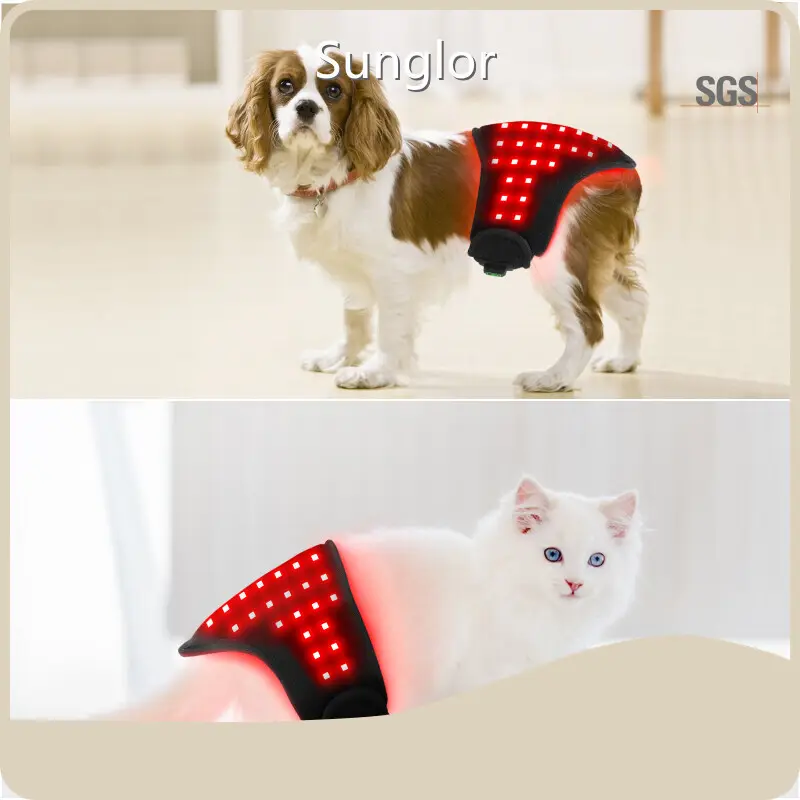 Infrared Therapy for Dogs Animal Red Light Wholesale - Sunglor 1