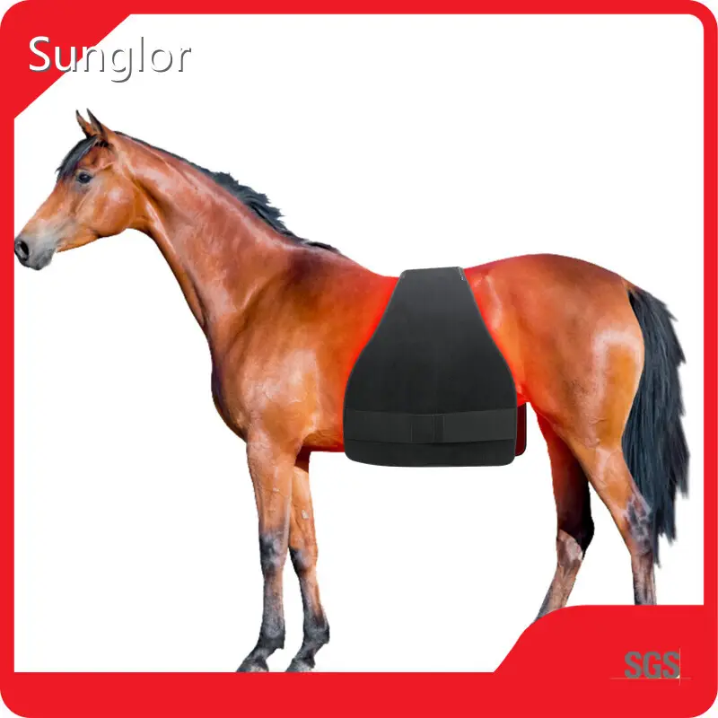 Wholesale Red Light Therapy on Horses Company 1