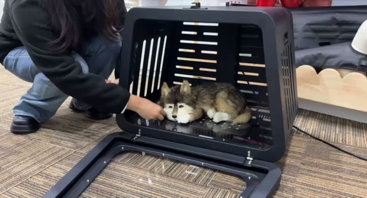 Lit pour animaux de compagnie Sunglor à luminothérapie rouge | Solution OEM double fonction