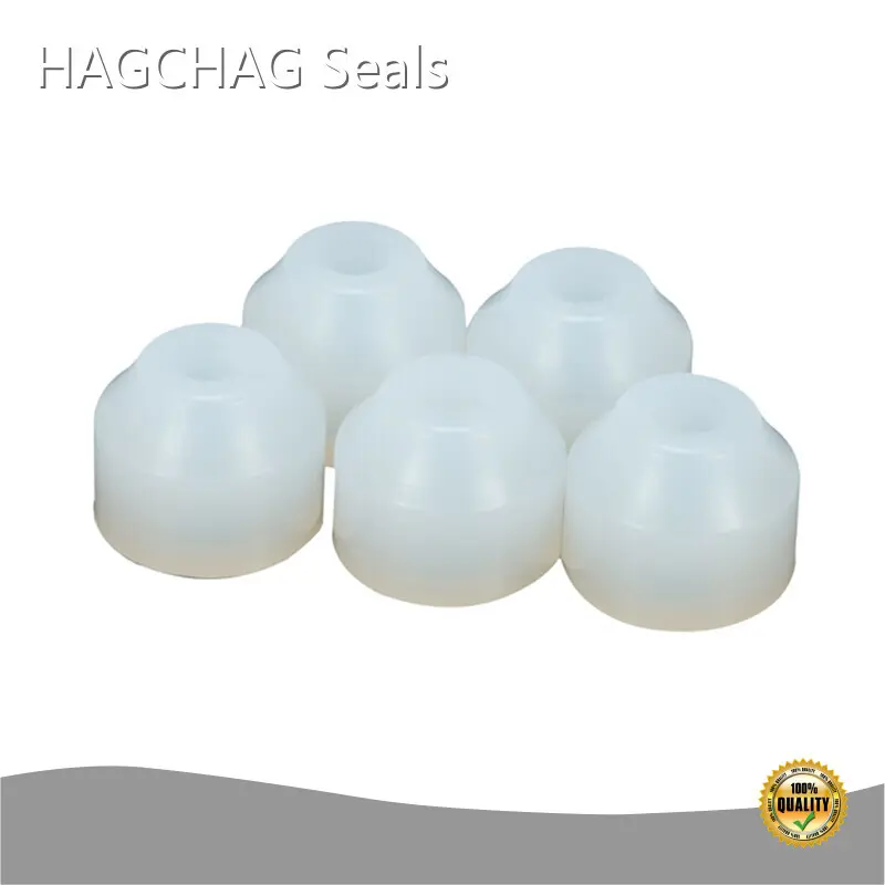 Rubber Gasket Suppliers - - HAGCHAG Seals 1