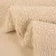 Tangber Fabric Sherpa Fabric TB-630#price 5