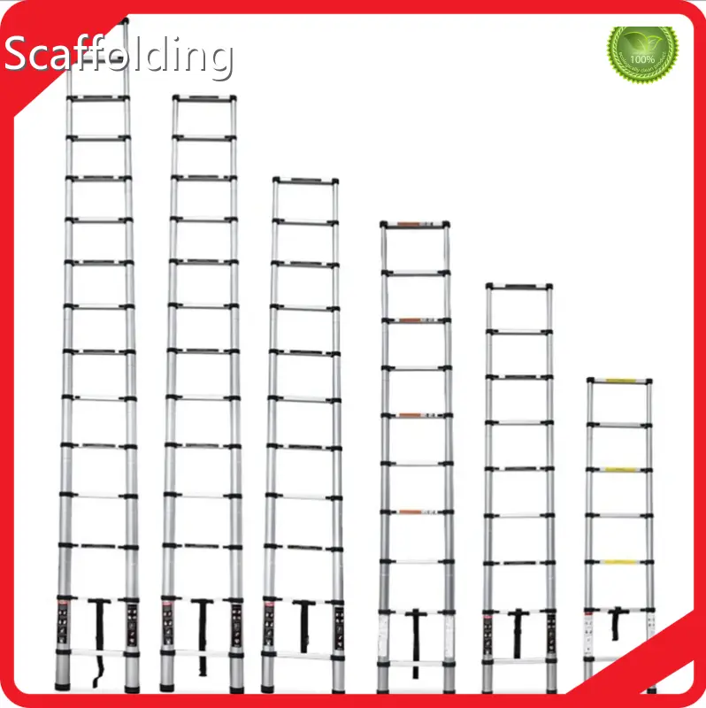 Extendable Extension Ladder Ladder by Toweran 1