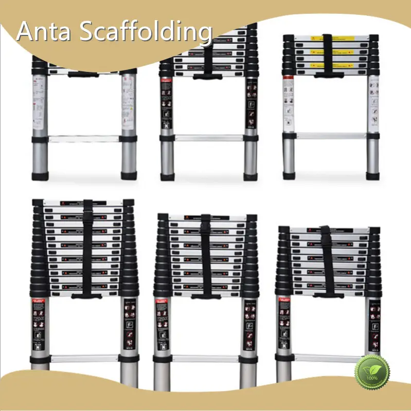 Aluminium Extending Ladders CE/EN131 by Toweran 1