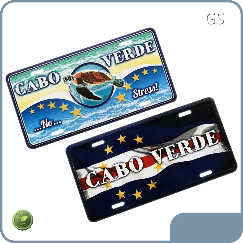 Customized Registration Plates for Sale GS Company 1