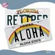 GS Number Plates for Sale Embossed Or Flat Number Plates for Saleat Discount 1