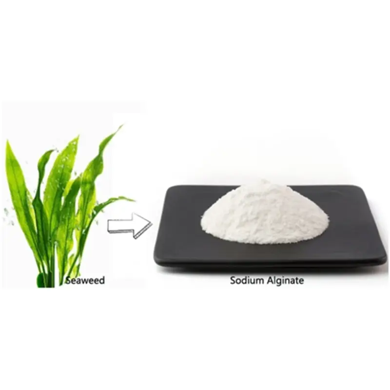 An Introduction to Alginate: Insights from a Manufacturer 1