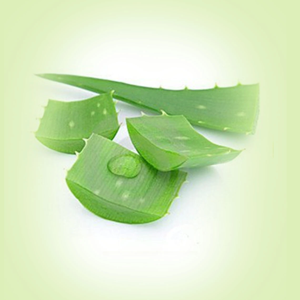 Aloe-Vera-Extrakt-Gel zur Hautpflege und Gesundheitsunterstützung 1