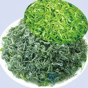 Spirulina-Extrakt für mehr Gesundheit und Wohlbefinden 1
