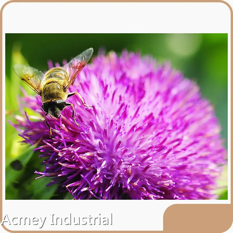 Plant Extract by Acmey 1