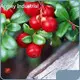 Nutrition Supplements Factory by Acmey-1 1
