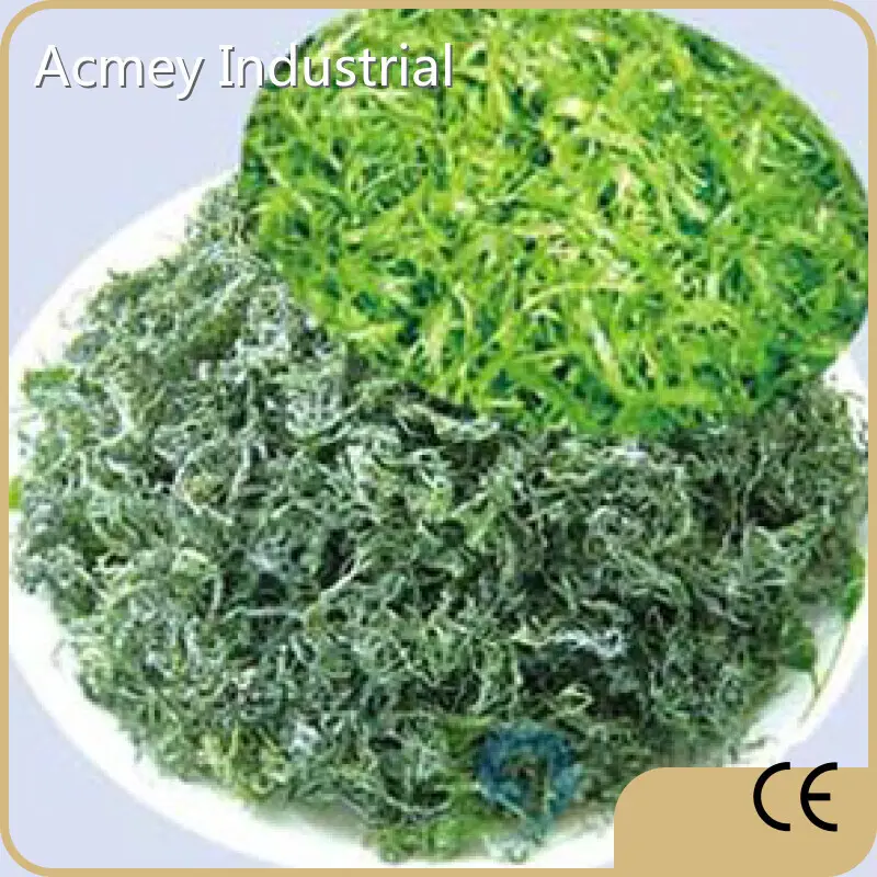 Best Pumpkin Seed Oil for Skin by Acmey-1 1