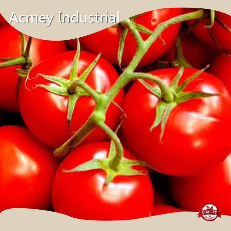Borage Seed Oil Supplement - - Acmey 1