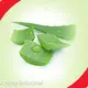Pumpkin Seed Oil Buy by Acmey 1