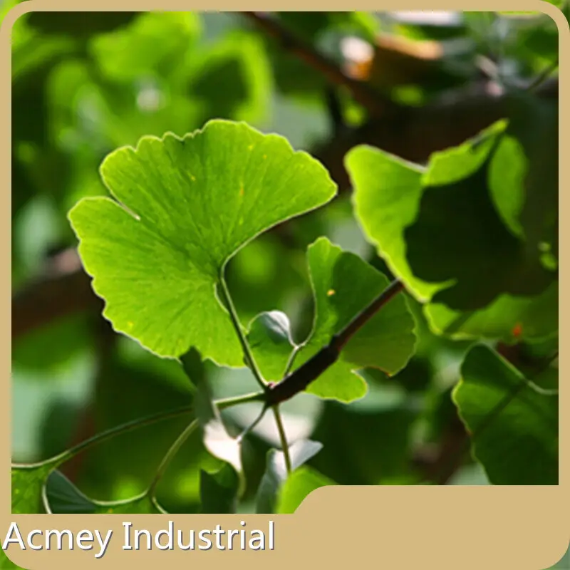Plant Extract by Acmey-2 1