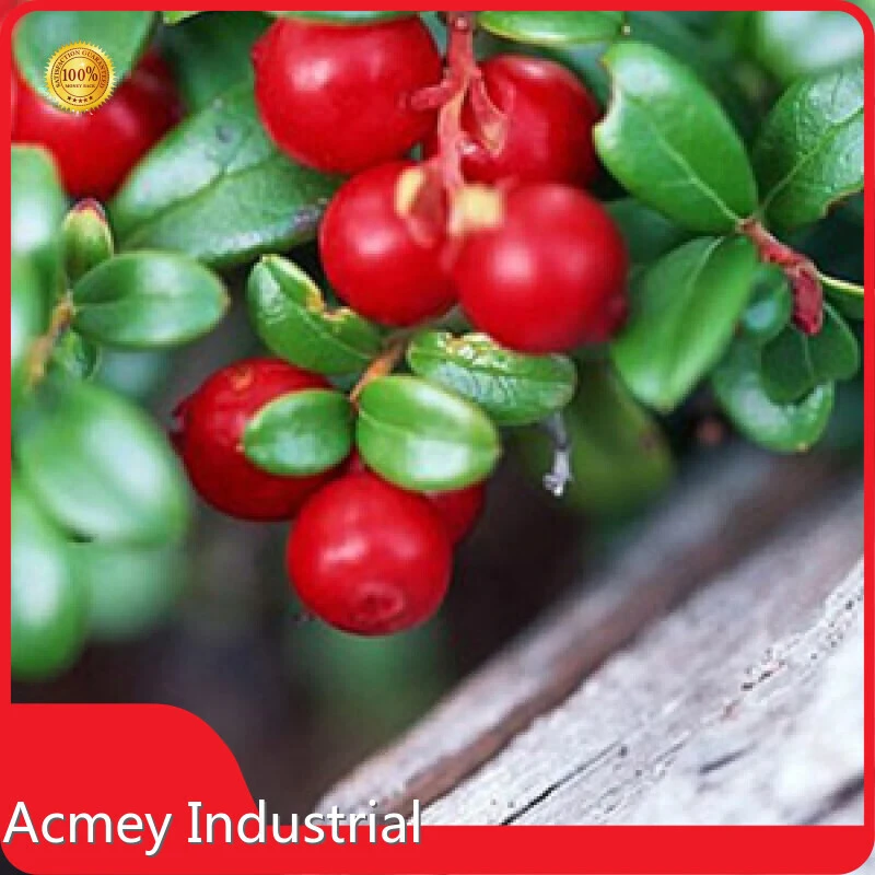 Borage Seed Oil Supplement Wholesale - Acmey 1