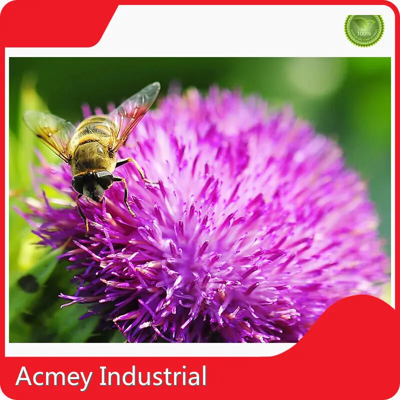 Plant Extract Supplier by Acmey-1 1