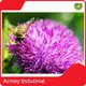 Plant Extract Supplier by Acmey-1 1