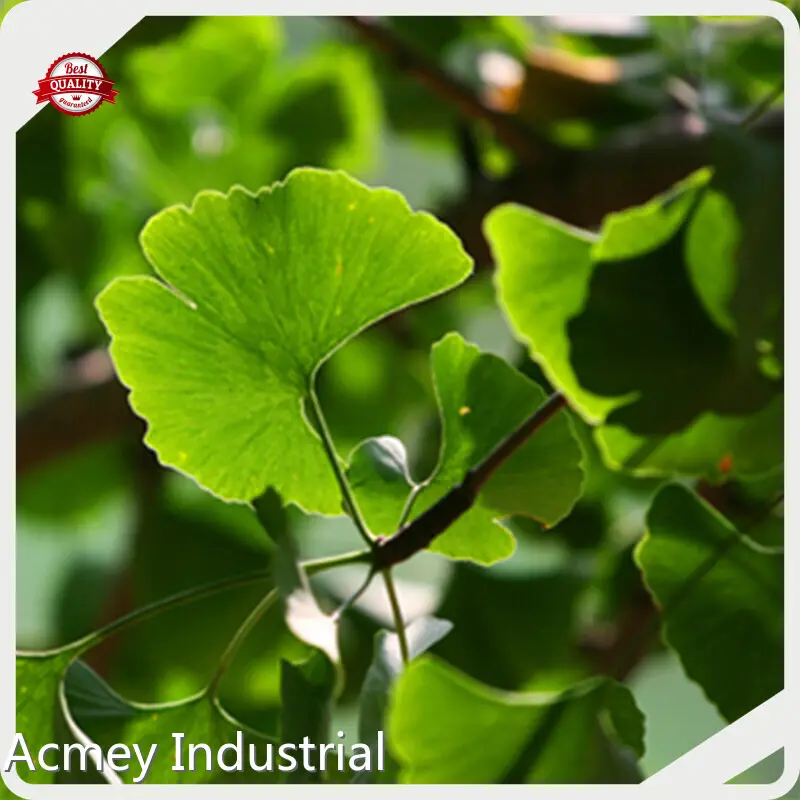 Herb Extract Supplier Wholesale - Acmey-1 1