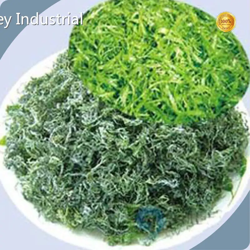 Dietary Supplements Ingredients by Acmey-1 1