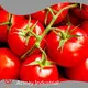 Plant Extract Manufacturer Wholesale - Acmey 1