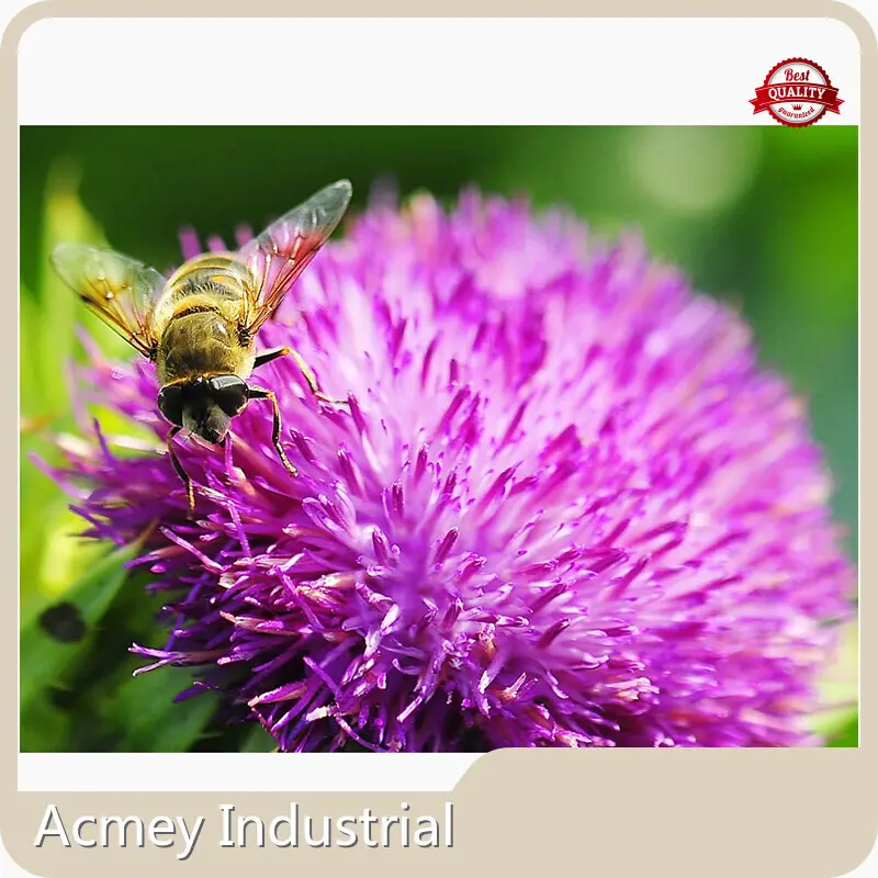 Nutrition Supplements Factory Wholesale - Acmey-2 1