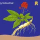 Organic Pumpkin Seed Extract Wholesale - Acmey-1 1