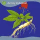 Dietary Supplements Ingredients - - Acmey-3 1
