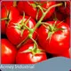 Cold Pressed Pumpkin Seed Oil by Acmey-1 1