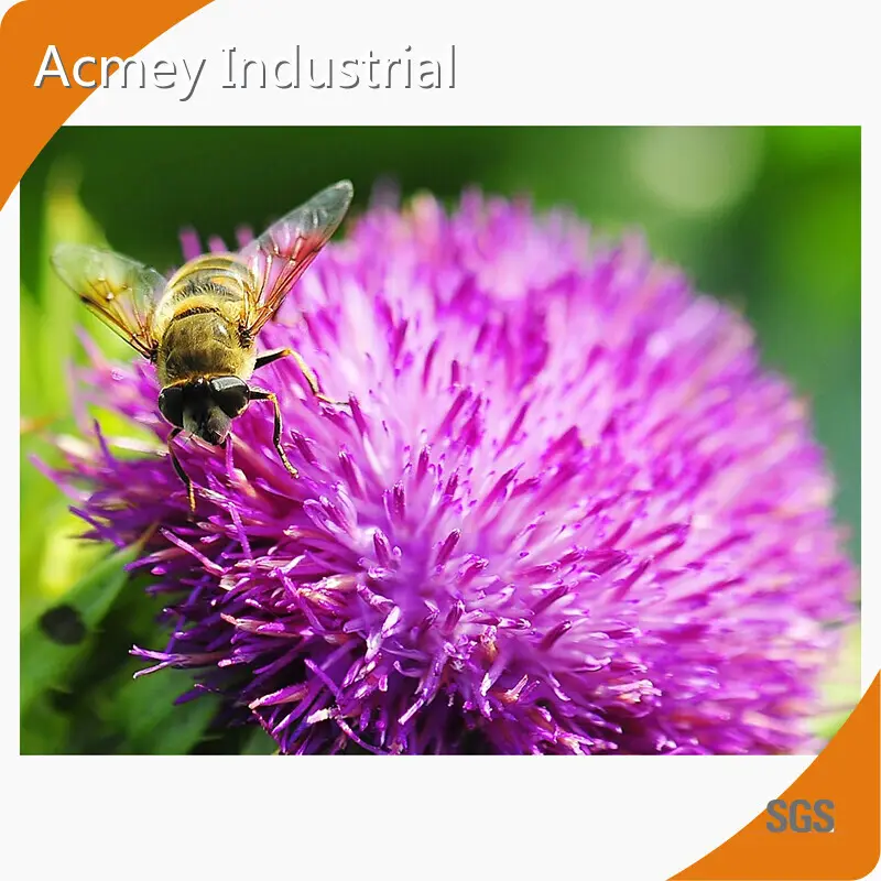 Borage Oil Supplements for Skin Wholesale - Acmey-1 1