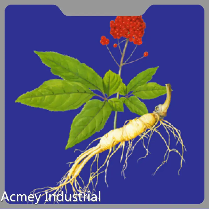 Borage Oil Supplement - - Acmey-2 1