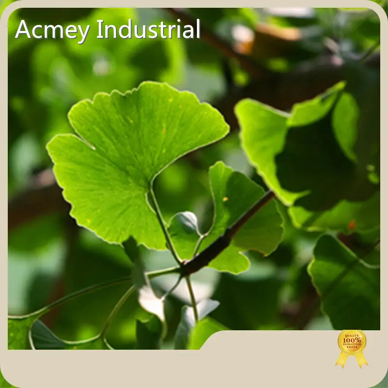 Organic Plant Extract Supplier - - Acmey-1 1