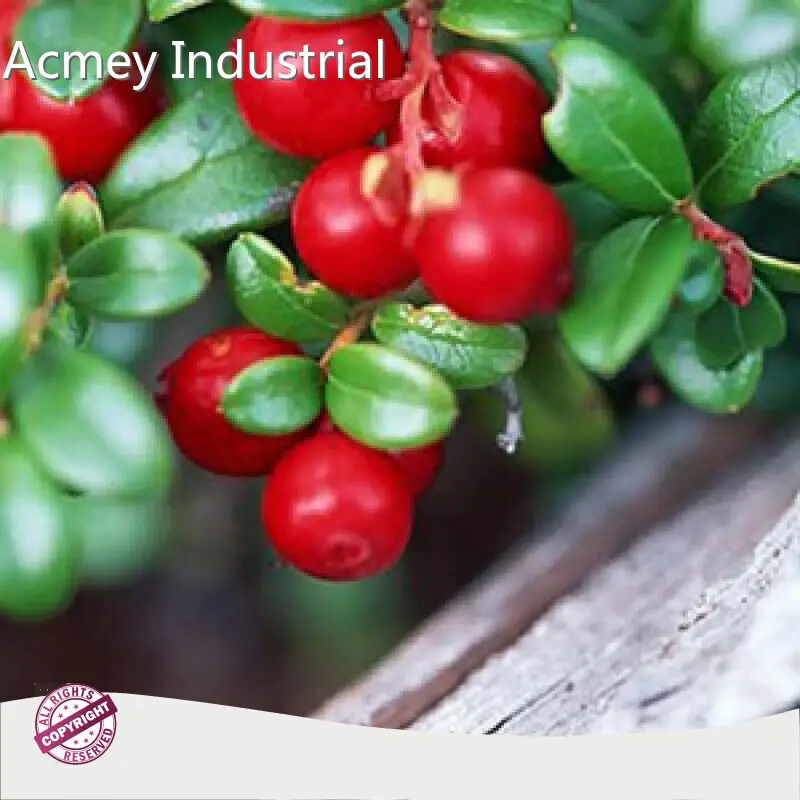 Dietary Supplements Ingredients Wholesale - Acmey-5 1
