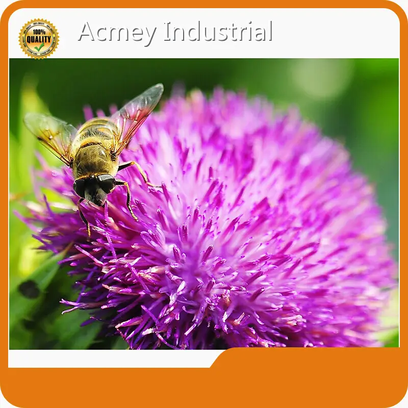 Dietary Supplements Ingredients Wholesale - Acmey-6 1